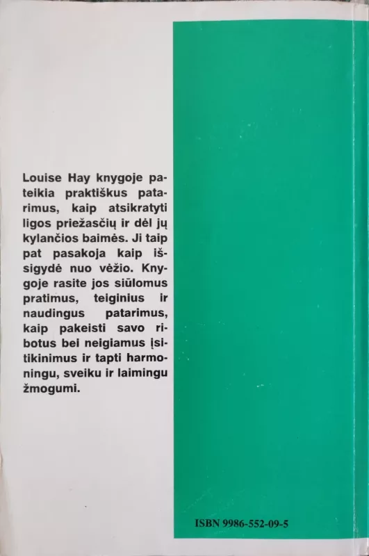 Mylėdamas save tu būsi laimingas - Louise Hay, knyga 3