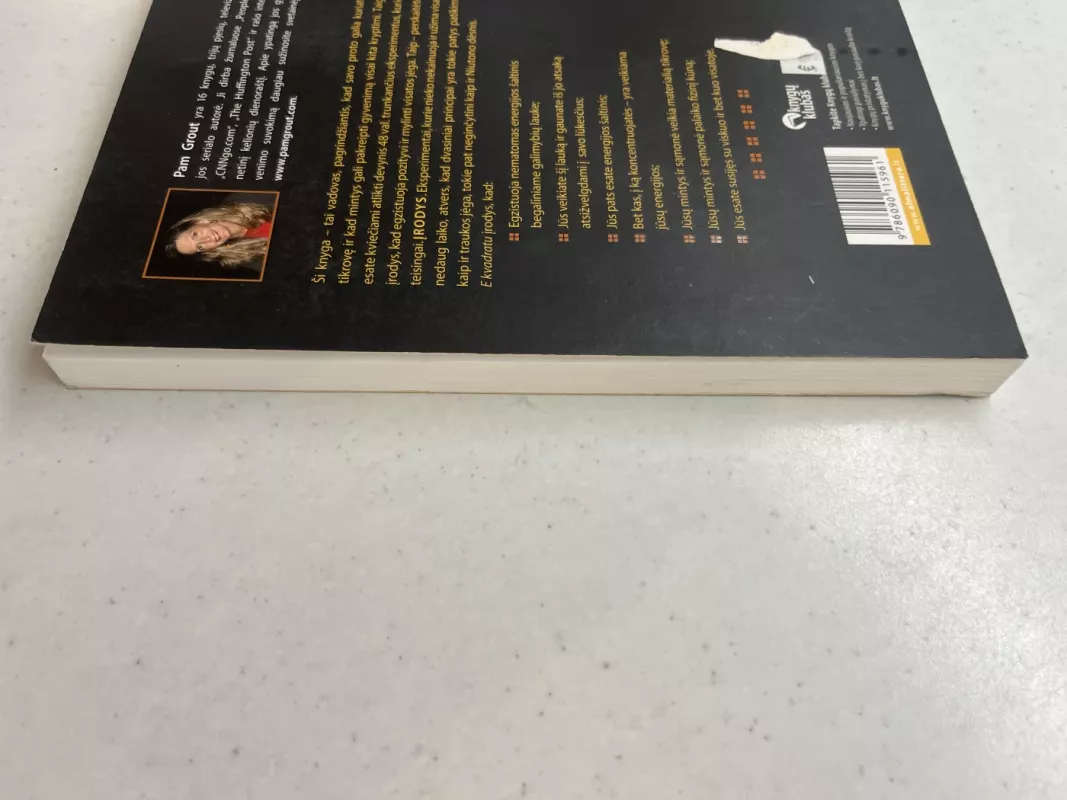 E kvadratu. Devyni energiniai eksperimentai, įrodantys, kad savo mintimis kuriate tikrovę - Pam Grout, knyga 5