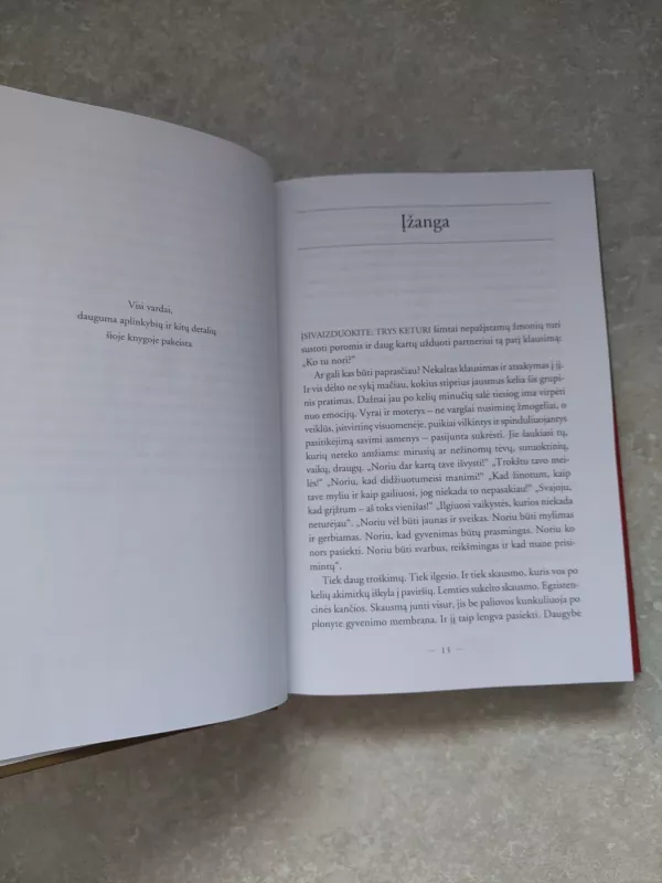 Meilės budelis ir kitos psichoterapinės istorijos - Irvin D. Yalom, knyga 4