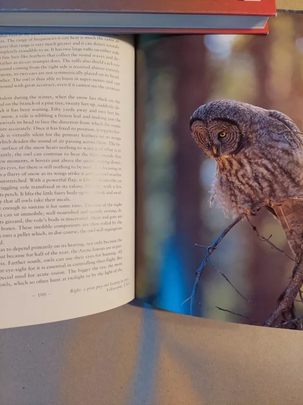 The Life of Birds - David Attenborough, knyga 3