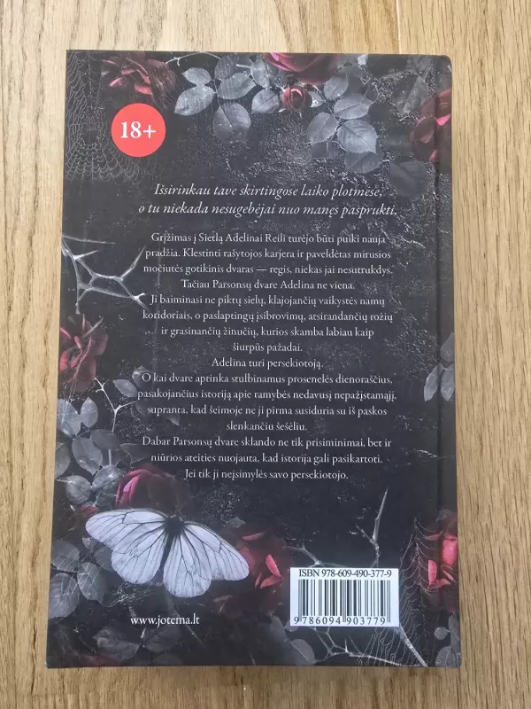 Adelinos vaiduokliai. - H. D. Carlton, knyga 3