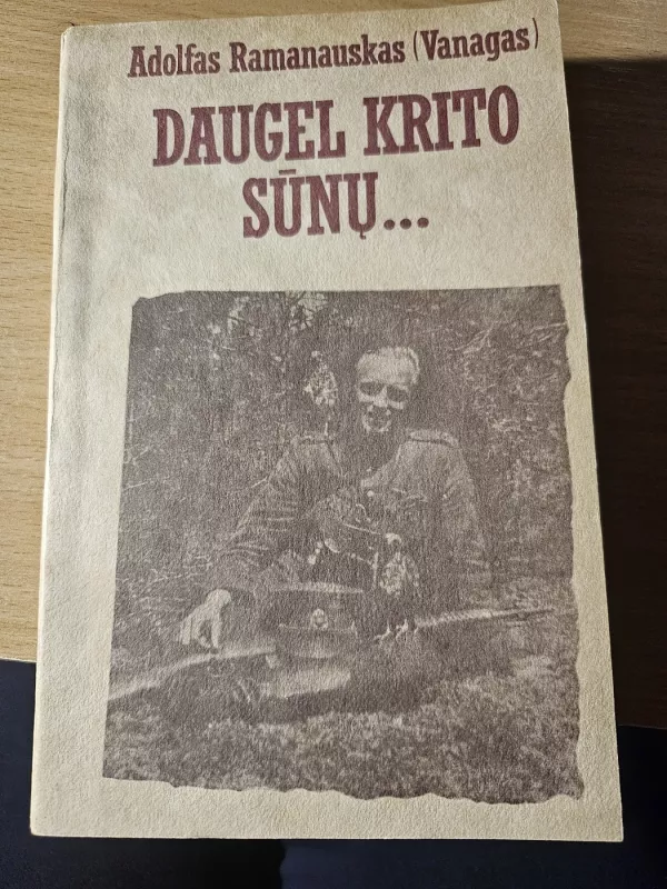 Daugel krito sūnų ... - Adolfas Ramanauskas-Vanagas, knyga 2