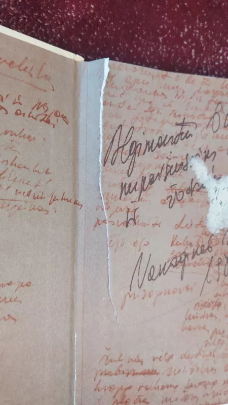 Kukučio baladės - Marcelijus Martinaitis, knyga 3