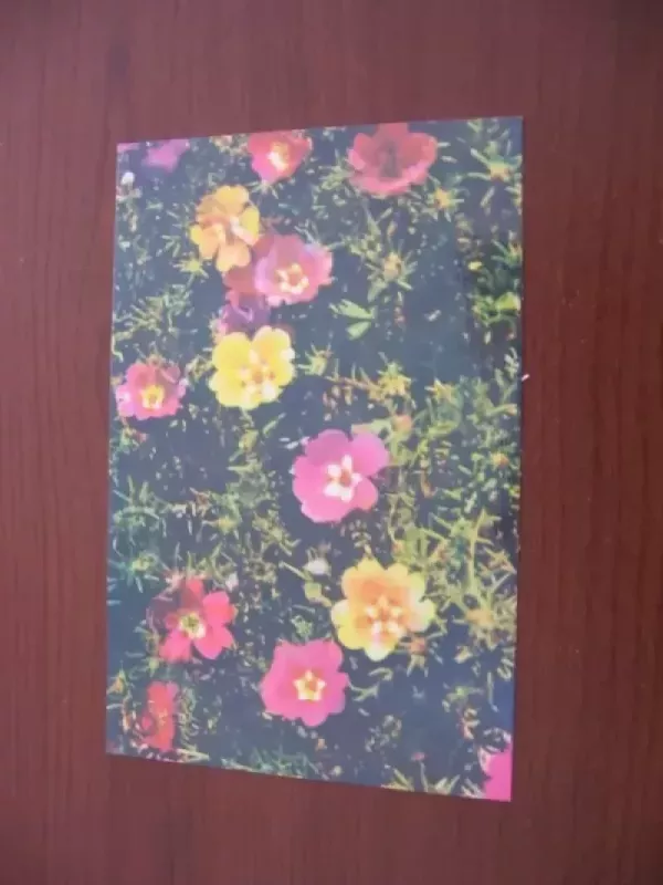 Atvirukas - Sig. Šimkus, knyga 2