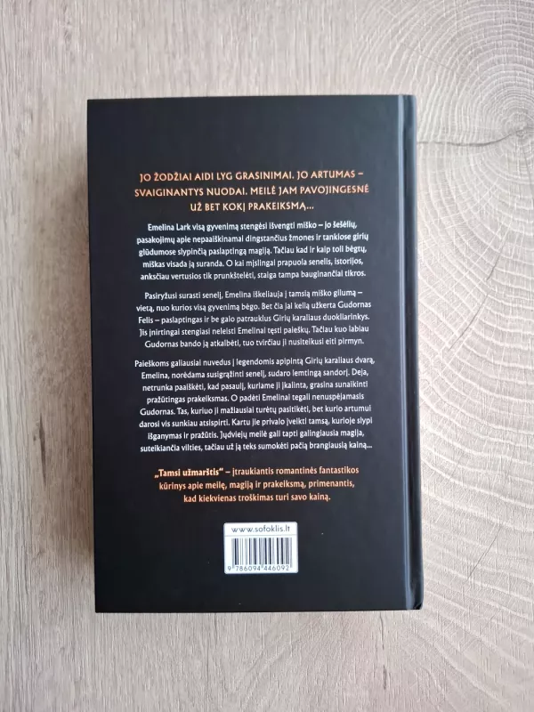 Tamsi užmarštis - Kristen Ciccarelli, knyga 3