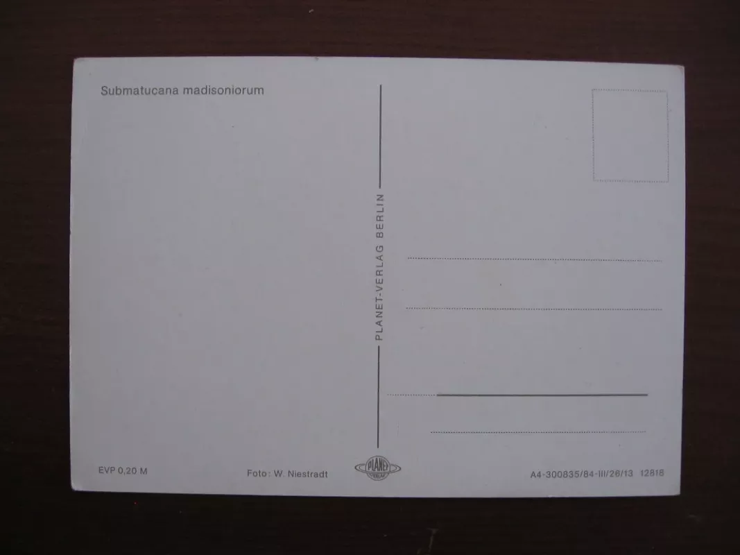 Atvirukas - W.Niestradt, knyga 3