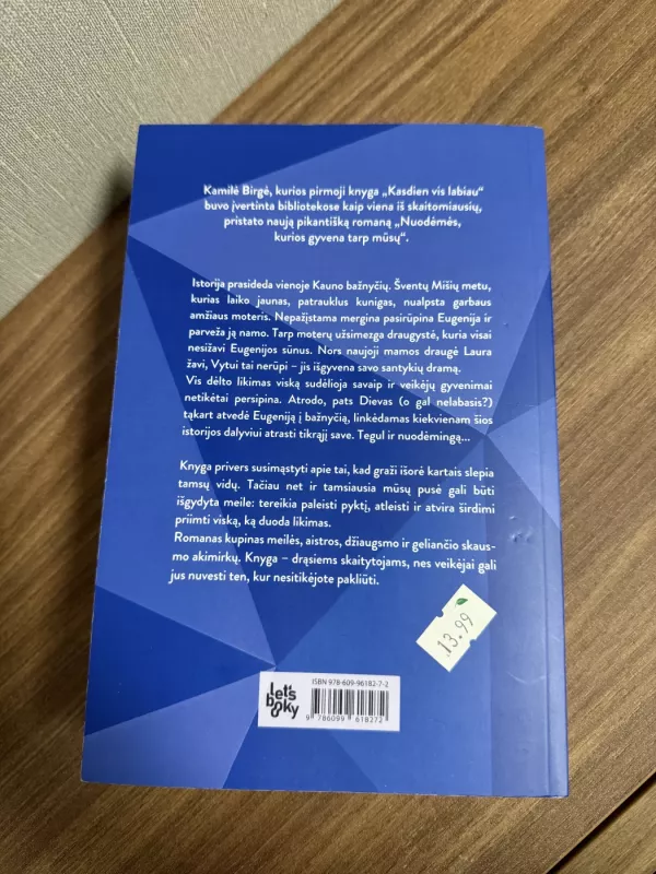 Nuodėmės, kurios gyvena tarp mūsų - Kamilė Birgė, knyga 4