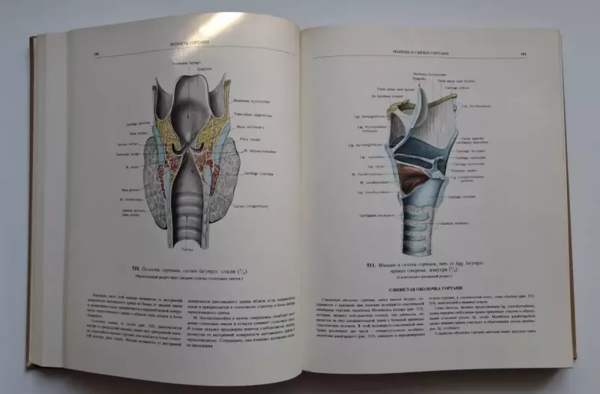 Sinelnikov. Žmogaus anatomijos atlasas II (rusų k.) 1979 - R.D.Sinelnikov, knyga 4
