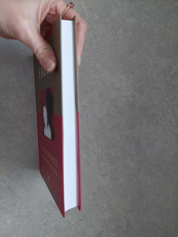 Meilės budelis ir kitos psichoterapinės istorijos - Irvin D. Yalom, knyga 3