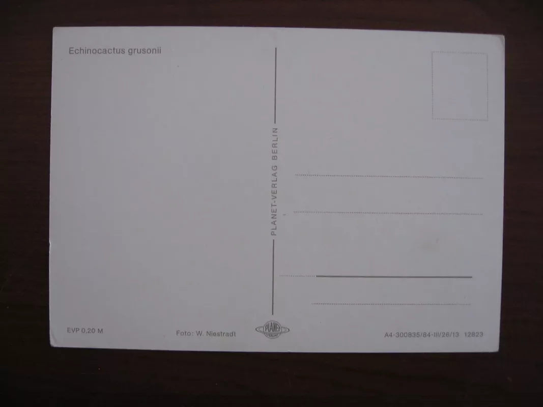 Atvirukas - W.Niestradt, knyga 3