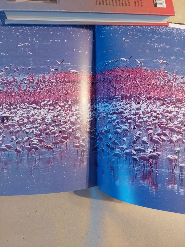 The Life of Birds - David Attenborough, knyga 5