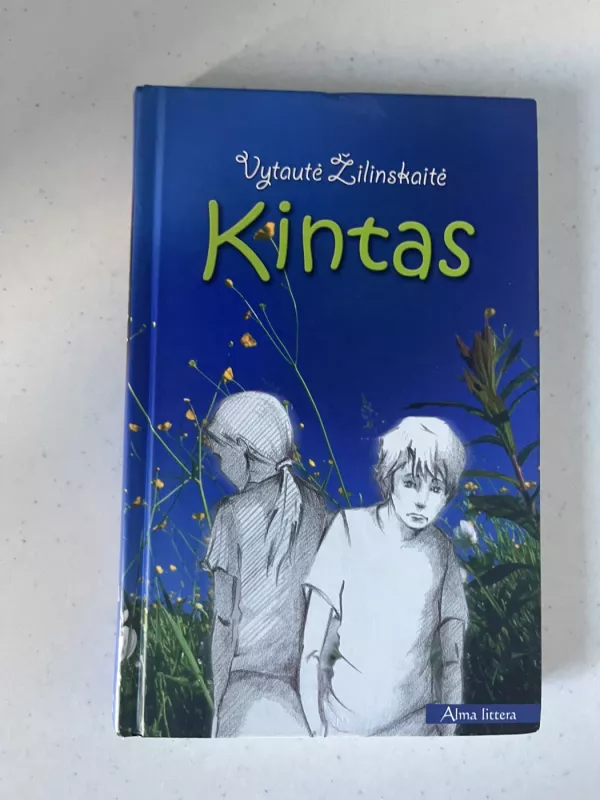 Kintas - Vytautė Žilinskaitė, knyga 2
