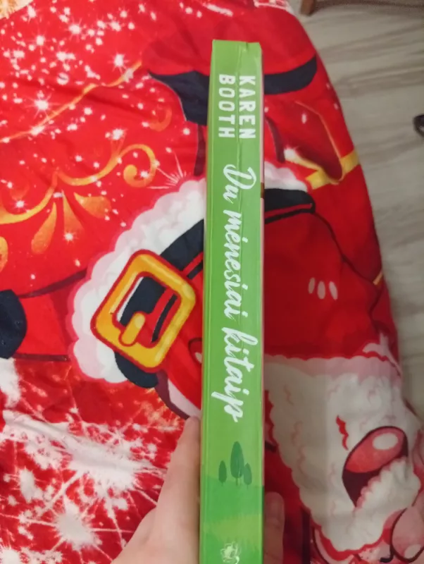 Du mėnesiai kitaip - Karen Booth, knyga 4