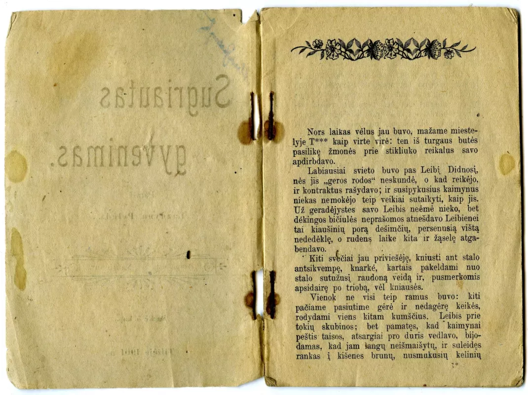 Sugriautas gyvenimas - Lazdynų Pelėda, knyga 3