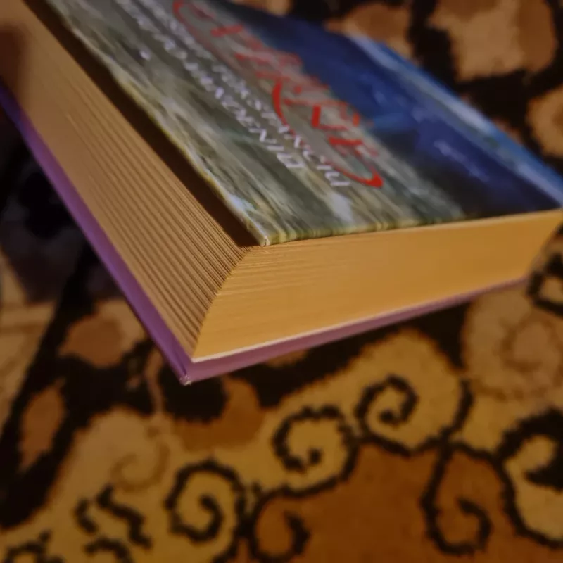 Dvidešimt tūkstančių mylių po vandeniu - Žiulis Vernas, knyga 4