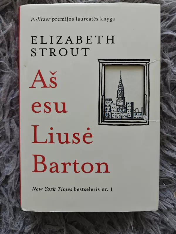 Aš esu Liusė Barton - Elizabeth Strout, knyga 2