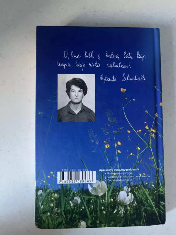 Kintas - Vytautė Žilinskaitė, knyga 3