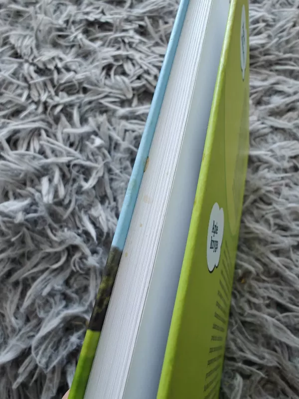 Vaiko ir paauglio psichologija: šiandienos iššūkiai: (vadovėlis aukštųjų mokyklų studentams) - Visvaldas Legkauskas, knyga 4