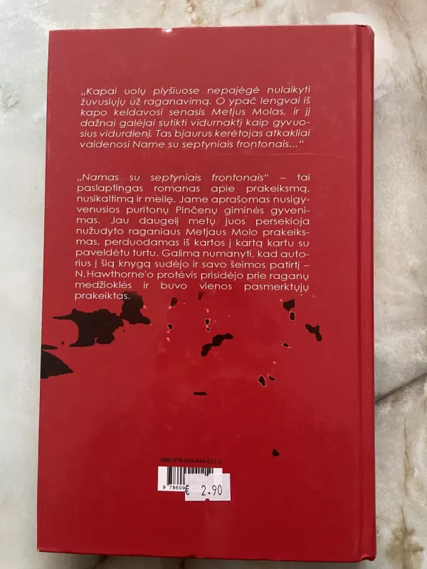 Namas su septyniais frontonais - Nathaniel Hawthorne, knyga 3