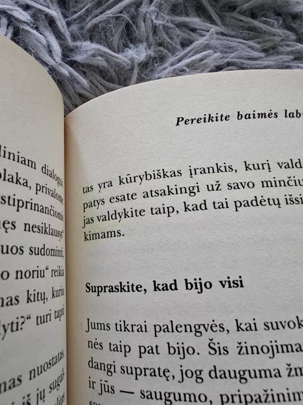 Aladino faktorius, arba prašymo menas - Jack Canfield, Mark Viktor  Hansen, knyga 3