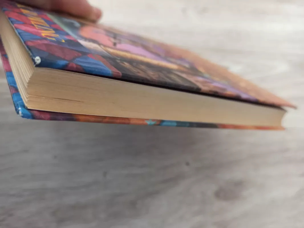 Haris Poteris ir išminties akmuo - Rowling J. K., knyga 4