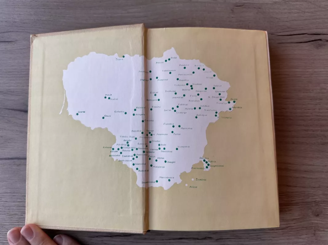 Pasakos su dainuojamaisiais intarpais - Jurgis Dovydaitis, knyga 3