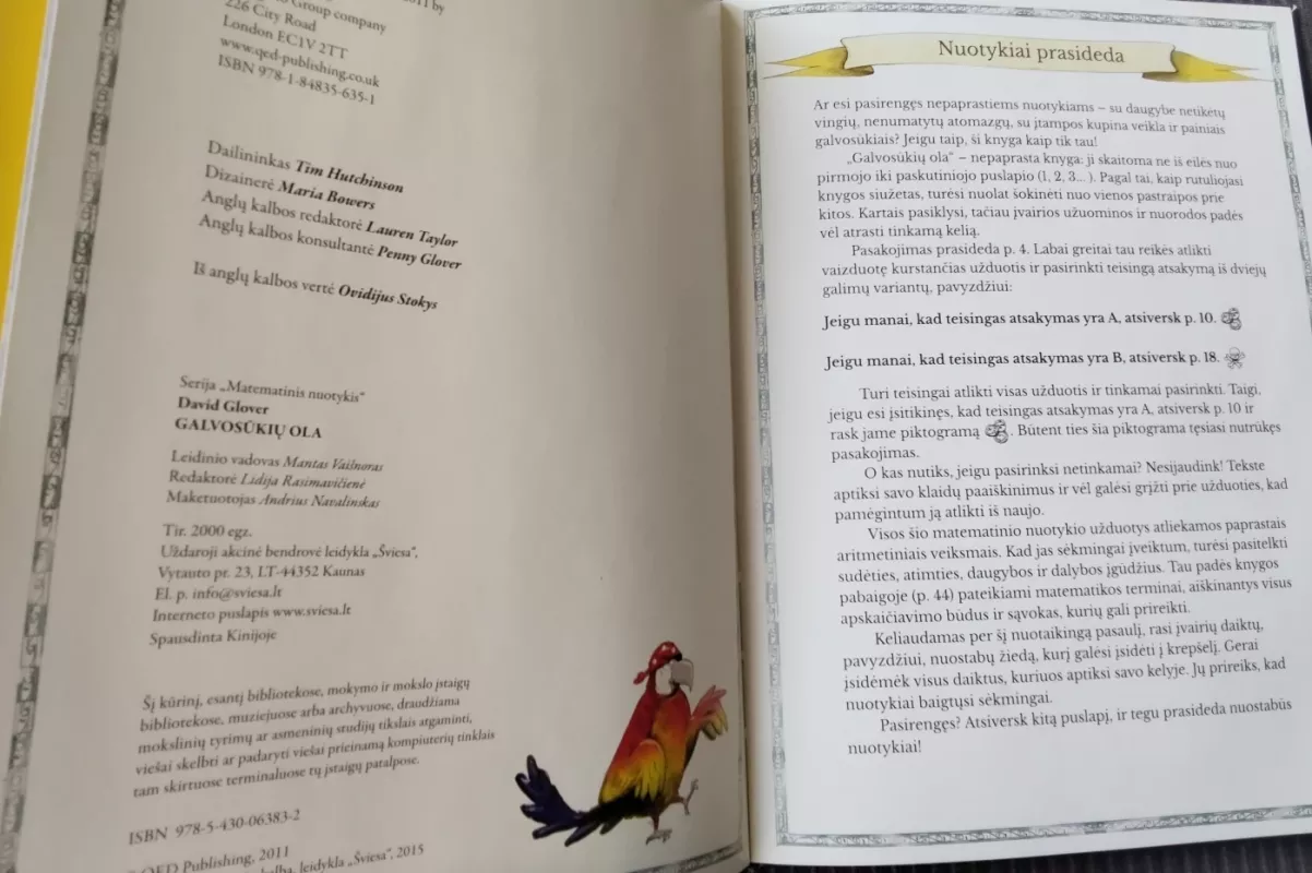 Galvosūkių ola. Matematinis nuotykis. Skaičiavimo paslaptys - David Glover, knyga 4