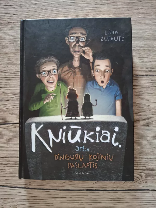 Kniūkiai, arba dingusių kojinių paslaptis - Lina Žutautė, knyga 2