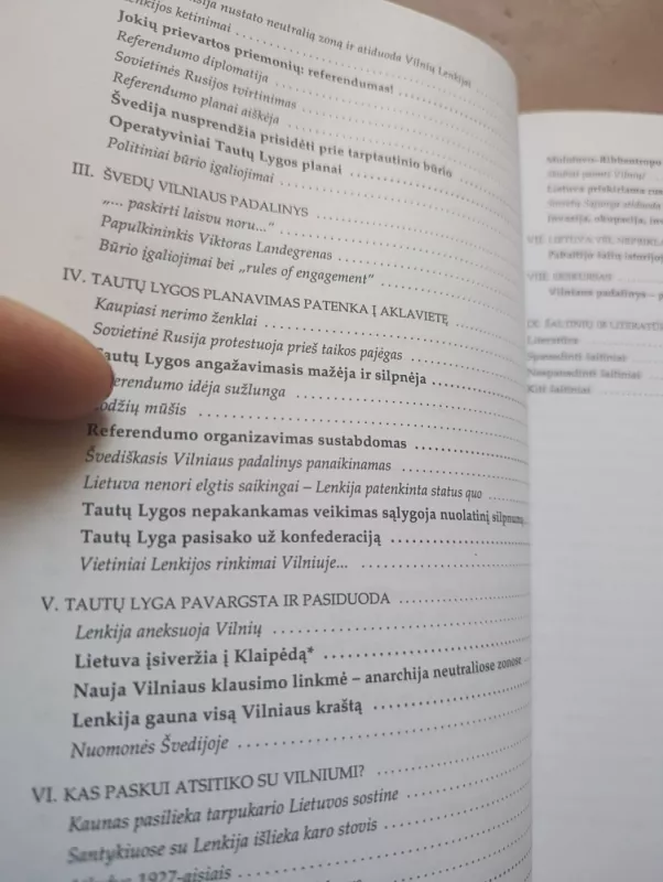 Vilniaus konfliktas - Sture Theolin, knyga 6