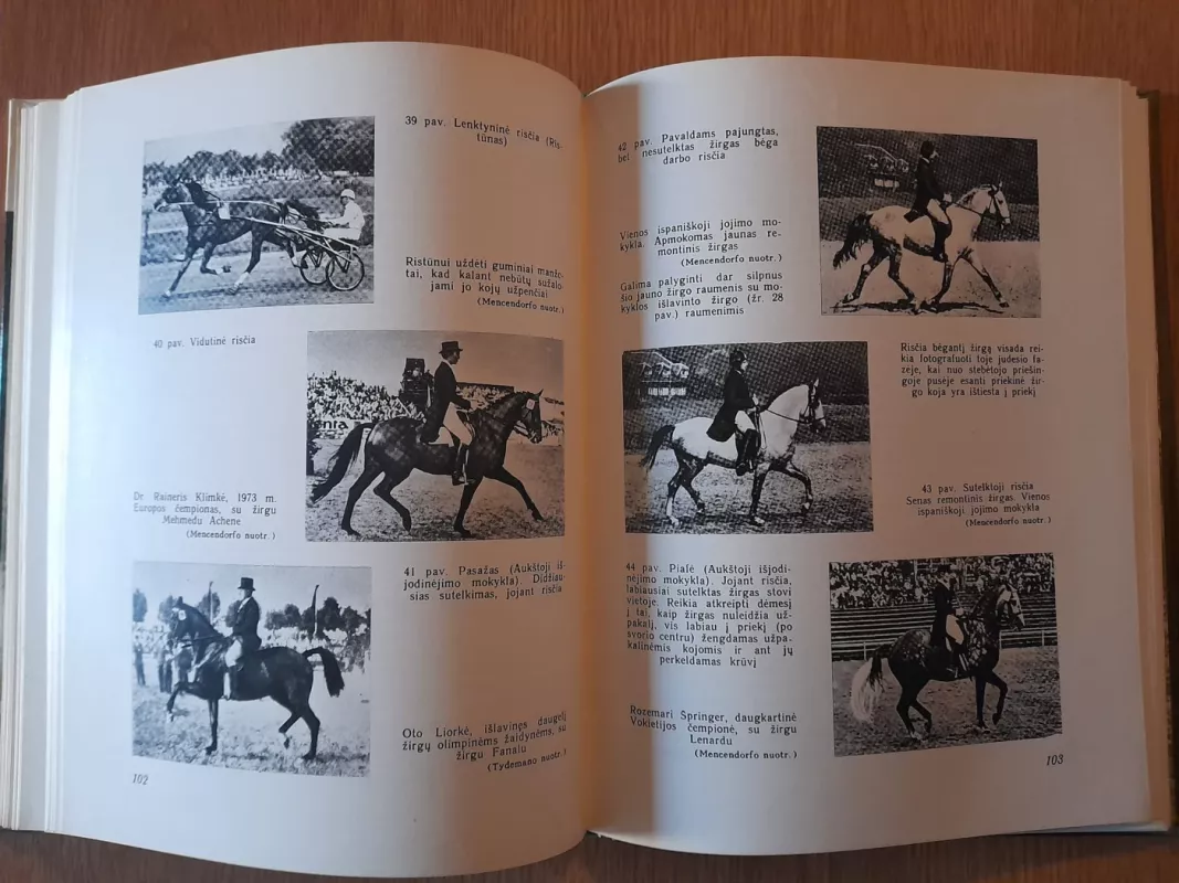 Jojimas - Vilhelmas Miūzeleris, knyga 4