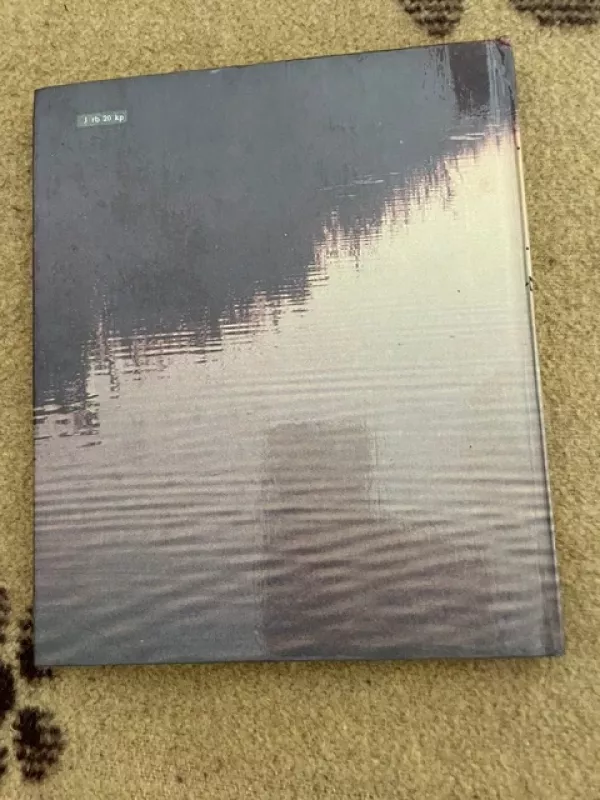 Žuvinto metai - Vytautas Nedzinskas, knyga 3