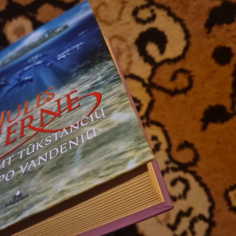 Dvidešimt tūkstančių mylių po vandeniu - Žiulis Vernas, knyga 3