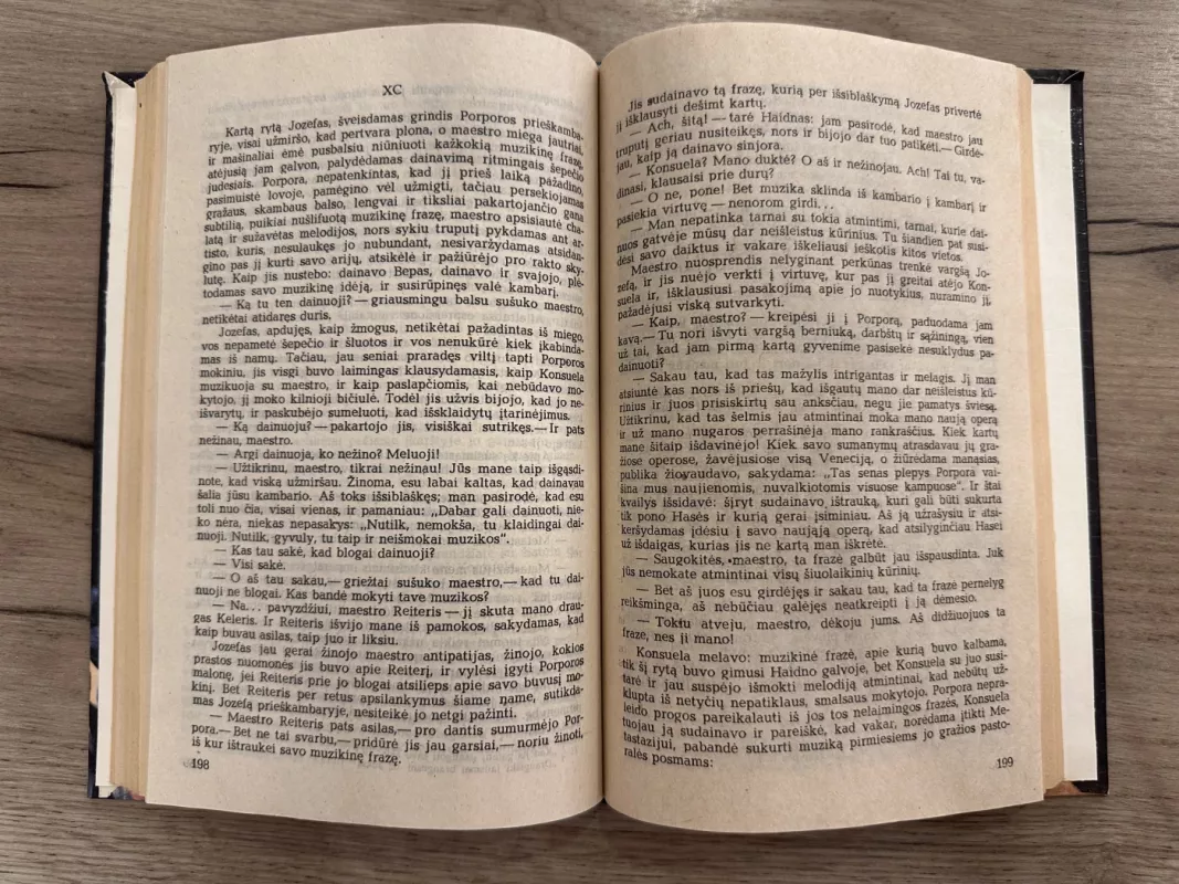 Konsuela (2 tomas) - Žorž Sand, knyga 4