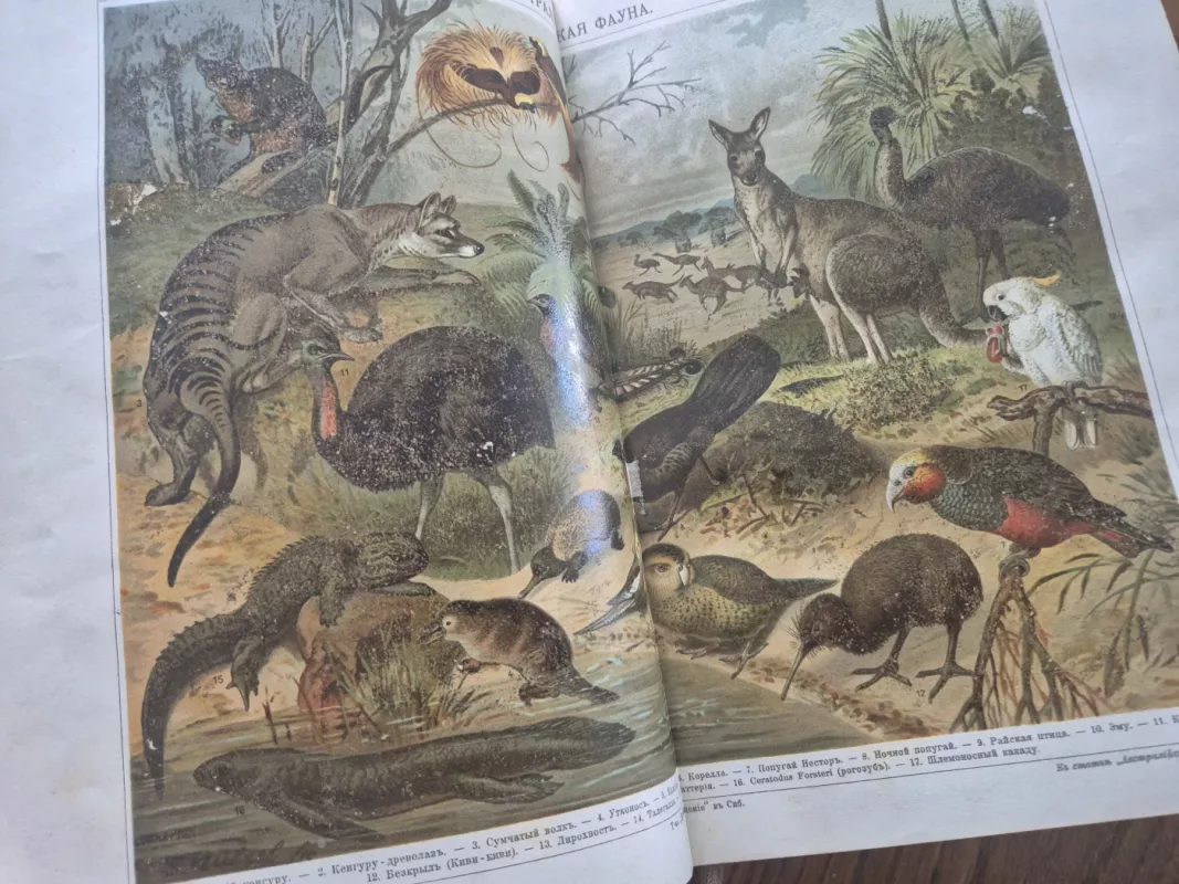 Didžioji enciklopedija 1900 - 1909 8-i tomai - S.N.Južakovas, knyga 4