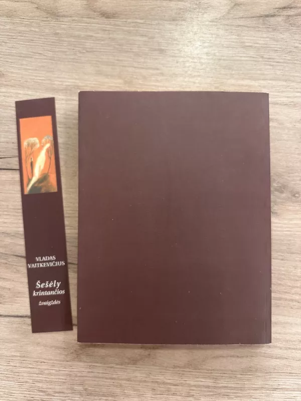 Šešėly krintančios žvaigždės - Vladas Vaitkevičius, knyga 5