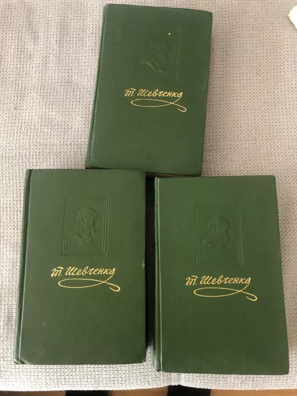 Taras Grigorovich Shevchenko.  Raštai. 3 tomai - Taras Grigorovich Shevchenko, knyga 2