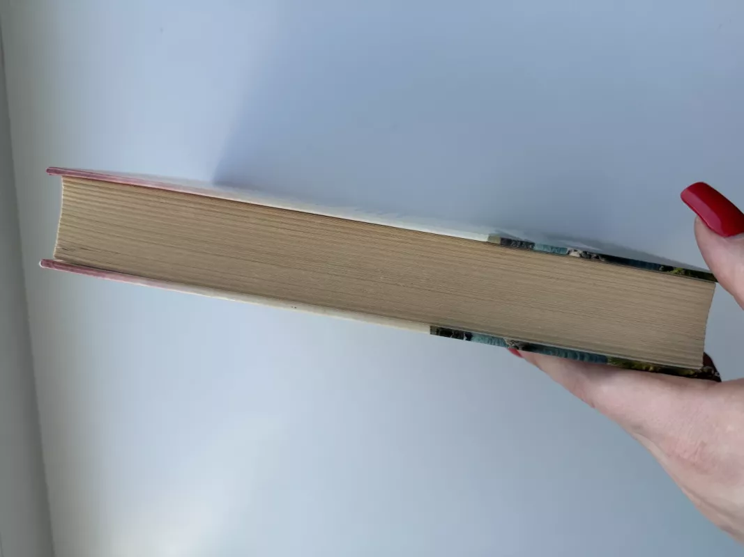 Airijos dukros - Santa Montefiore, knyga 5