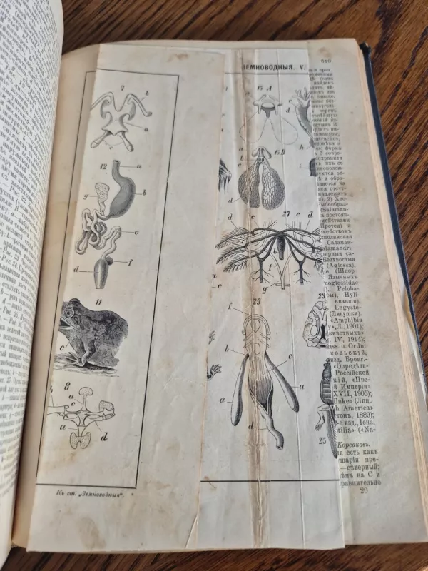 Naujas enciklopedinis žodynas 18 tomas Žukova - Ivnica 1914 m. Rusijos imperija. - Brokgauzas ir Efronas, knyga 5