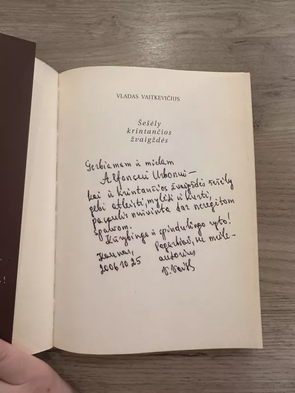 Šešėly krintančios žvaigždės - Vladas Vaitkevičius, knyga 3