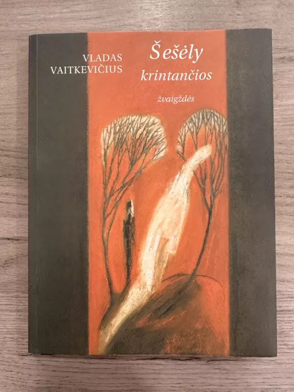 Šešėly krintančios žvaigždės - Vladas Vaitkevičius, knyga 2