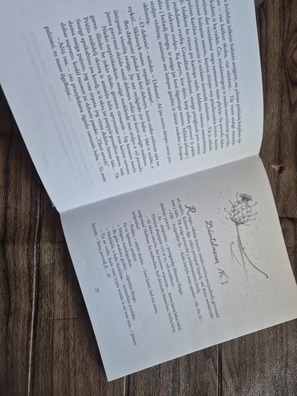 Radinių namelis - Vytautė Žilinskaitė, knyga 4