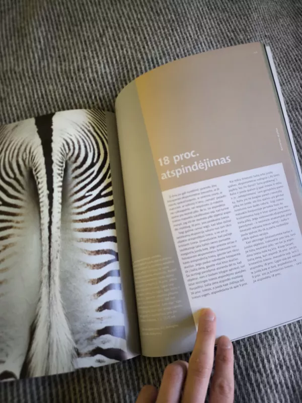 Susipažinkite: ekspozicija - Peterson Bryan, knyga 3