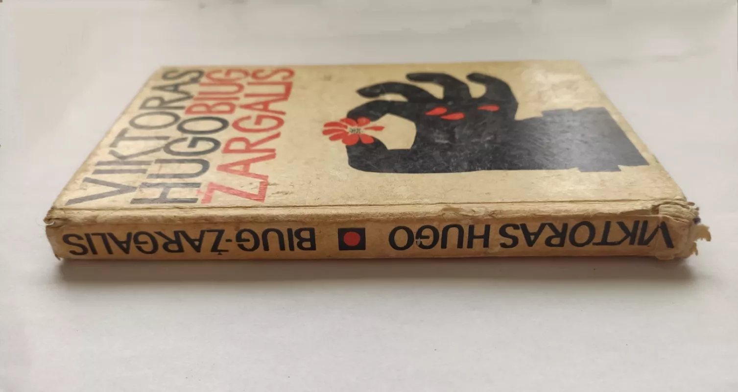 Biug Žargalis - Viktoras Hugo, knyga 4