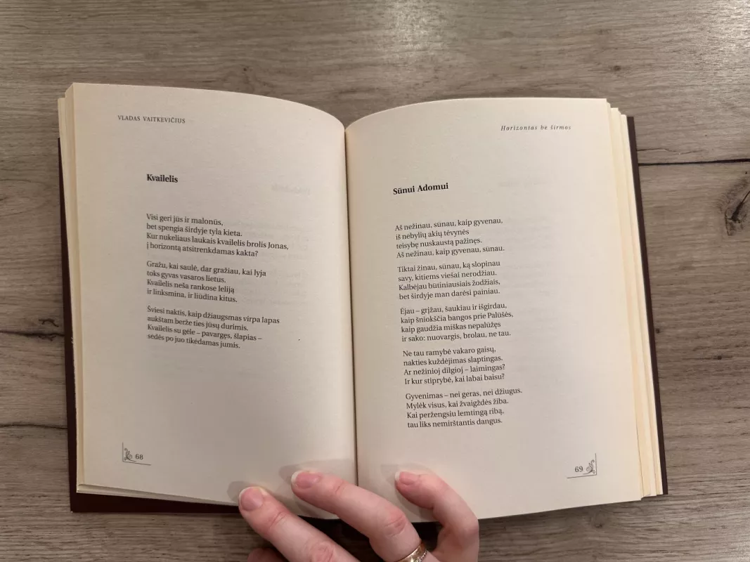 Šešėly krintančios žvaigždės - Vladas Vaitkevičius, knyga 4