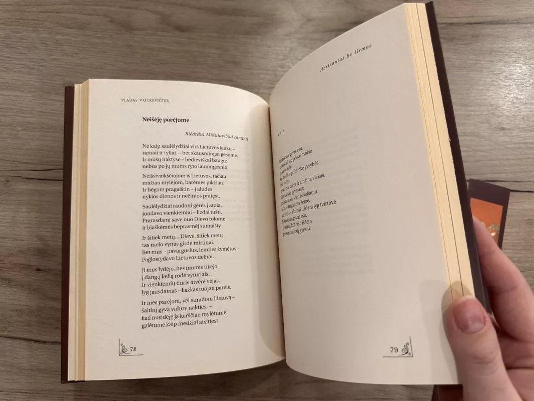 Šešėly krintančios žvaigždės - Vladas Vaitkevičius, knyga 4