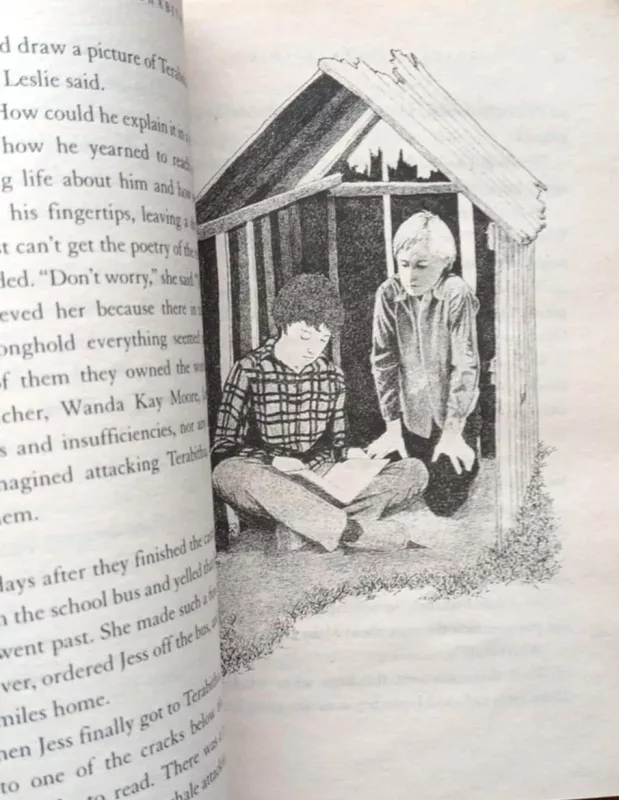 Bridge to Terabithia - Katherine Paterson, knyga 6