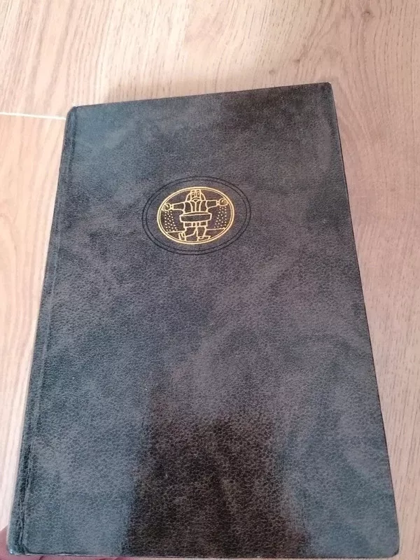 Demonai - Fiodoras Dostojevskis, knyga 4