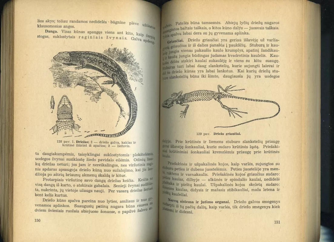 Zoologijos vadovėlis - V. Alaušas ir F. Čižienė, knyga 5