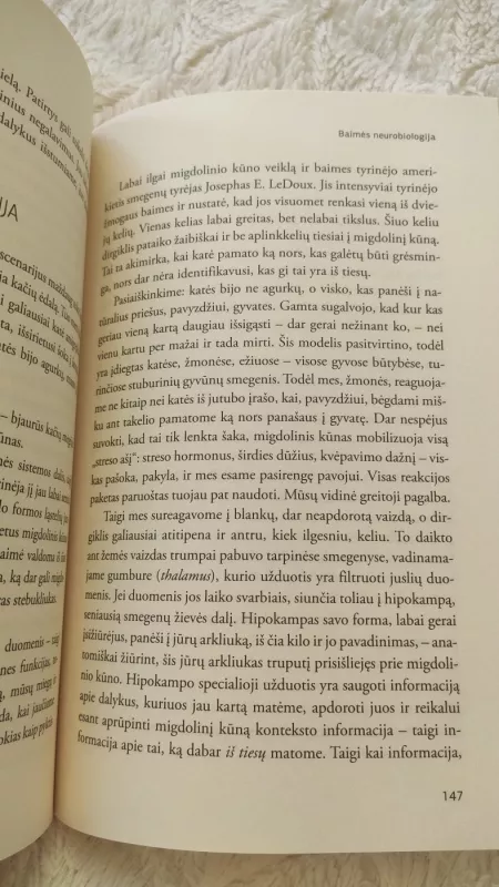 Paslaptingas sielos gyvenimas - Sabine Wery Von Limont, knyga 3