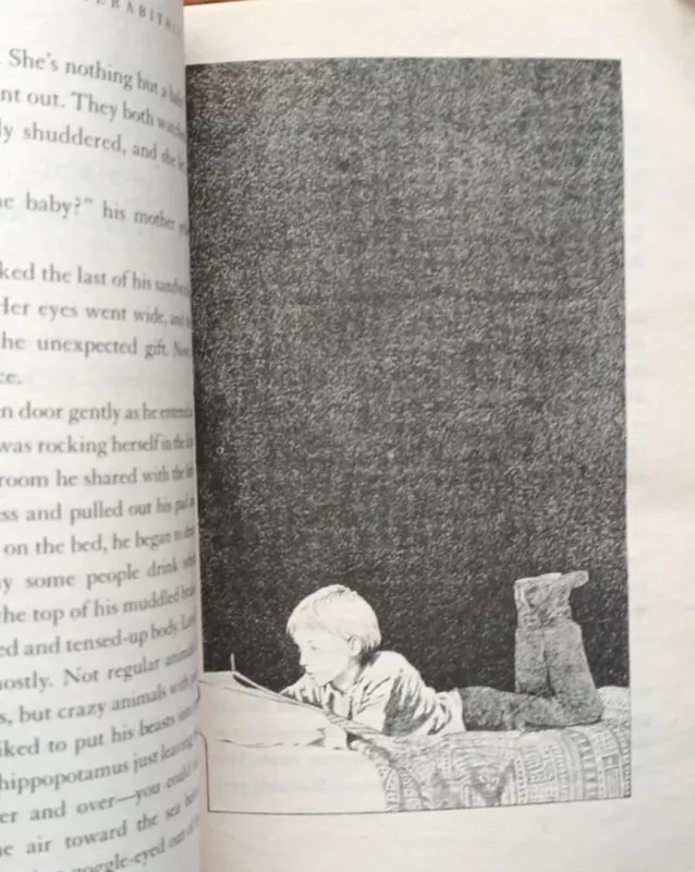 Bridge to Terabithia - Katherine Paterson, knyga 5